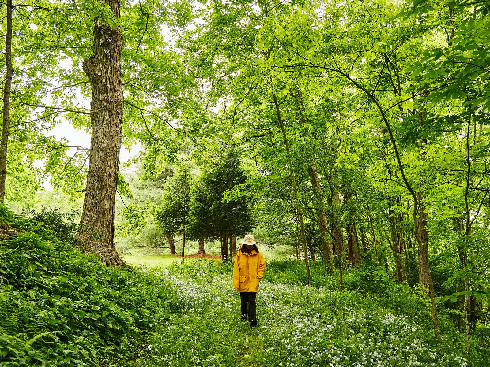 Young Huh Reimagines Her Family's Historic Hudson Valley Farmhouse