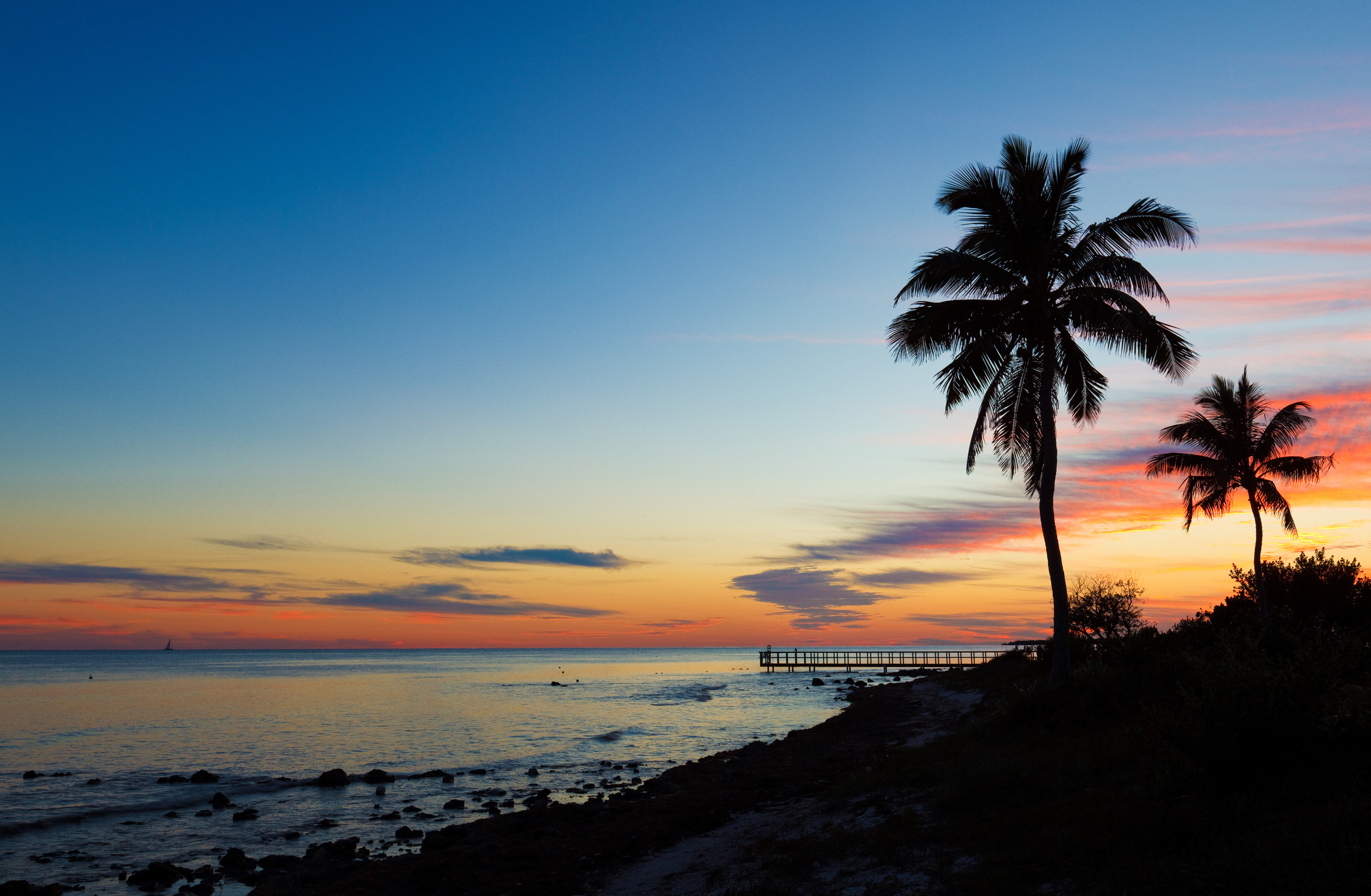 small pier and palm trees silhouettes at sunset